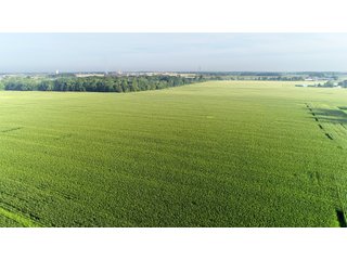 Tillable & Wooded Farmland in Allen County, Indiana - LAND AUCTION - 184+/- ACRES OFFERED IN 3 TRACTS IN ALLEN COUNTY, INDIANA